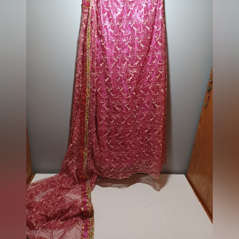 Skirt with attached saree - Picture 2 of 5